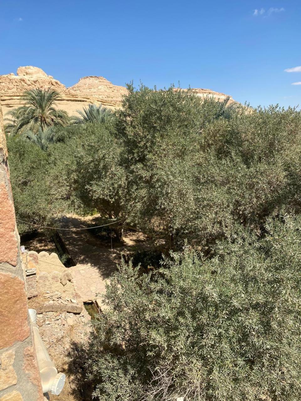 Fada Morgana Hotell Siwa Oasis Eksteriør bilde