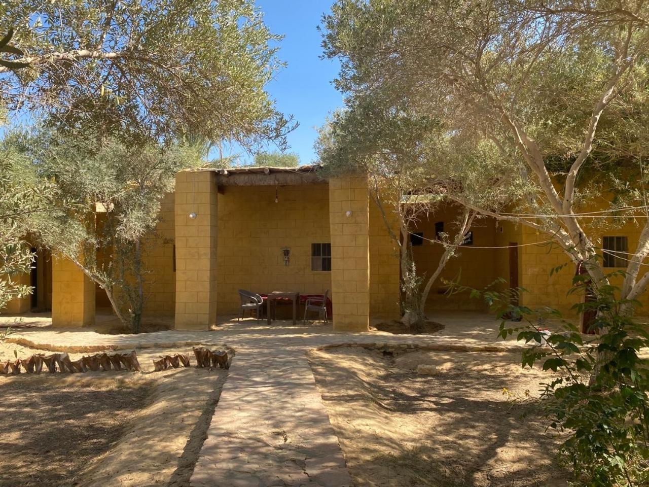 Fada Morgana Hotell Siwa Oasis Eksteriør bilde